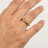 sample 6624